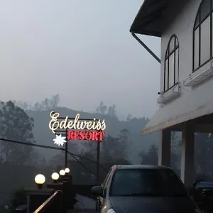 Edelweiss , Munnar India